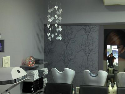 Salon-de-coiffure-apräs-travaux  YeA9D